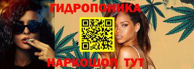 дмт Пенза